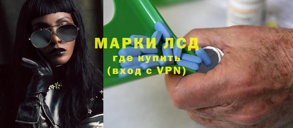 PSILOCYBIN Инта