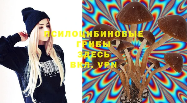 PSILOCYBIN Инта
