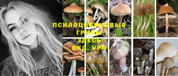 крисы Иннополис